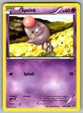 Spoink Common XY Base Set 49/146 LP 2014