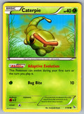 Caterpie Common XY - Flashfire 1/106 LP 2014