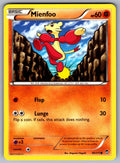 Mienfoo Common XY - Furious Fists 56/111 LP 2014