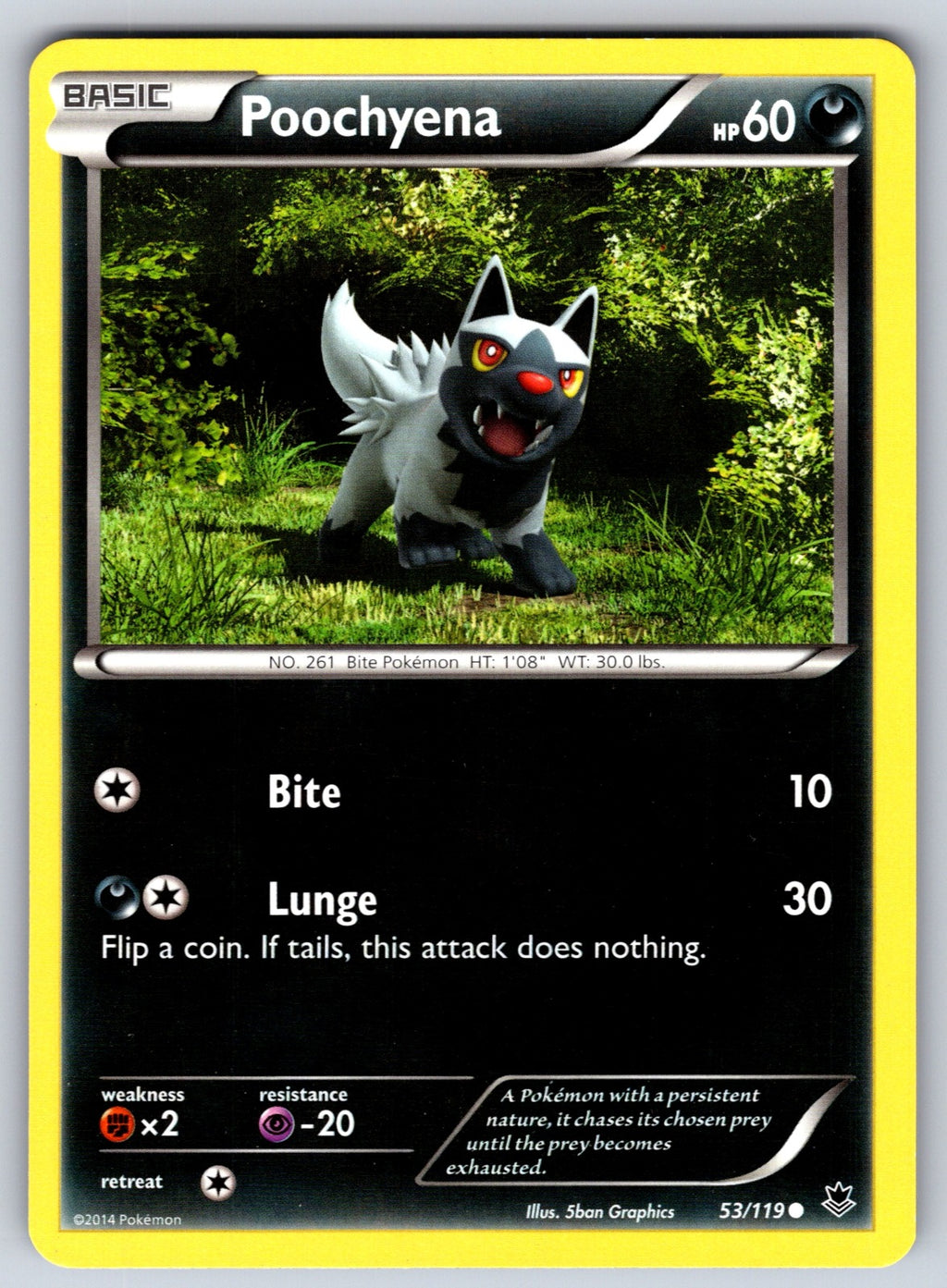 Poochyena Common XY - Phantom Forces 53/119 LP 2014