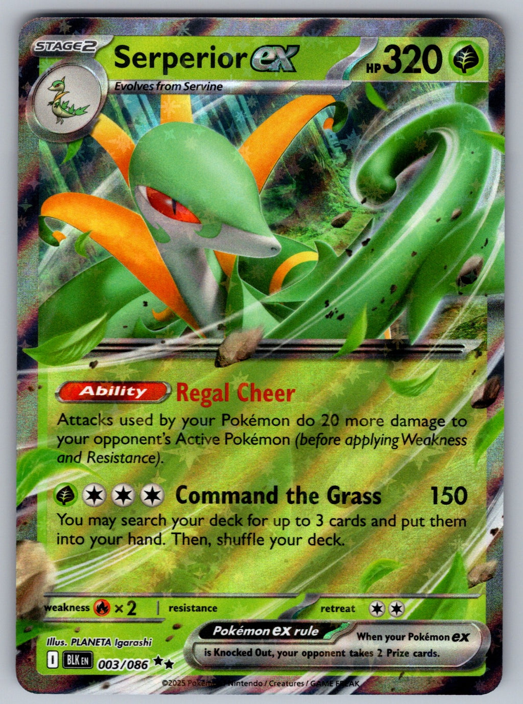 Serperior ex Holo Double Rare SV: Black Bolt 003/086 NM 2025