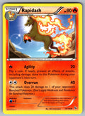 Rapidash Uncommon XY - Flashfire 15/106 LP 2014