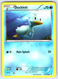 Ducklett Common Boundaries Crossed 42/149 LP 2012