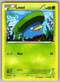 Lotad Common XY - Primal Clash 10/160 LP 2015