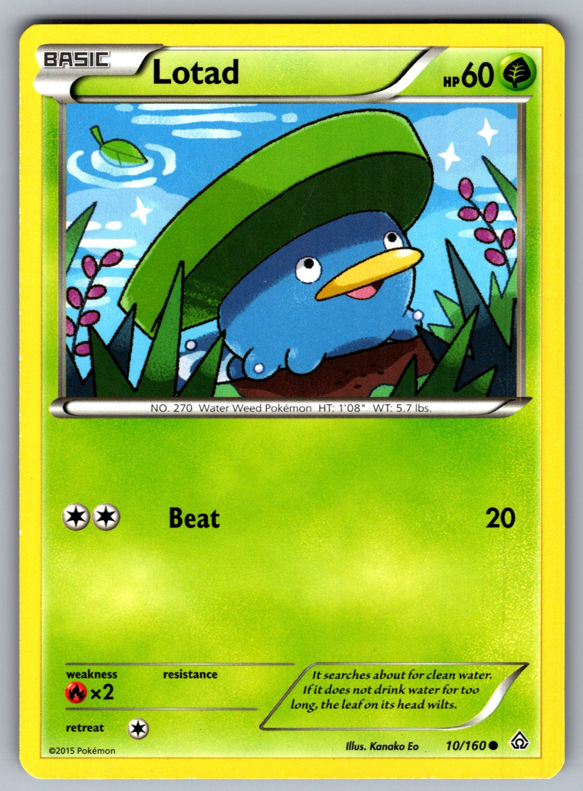 Lotad Common XY - Primal Clash 10/160 LP 2015