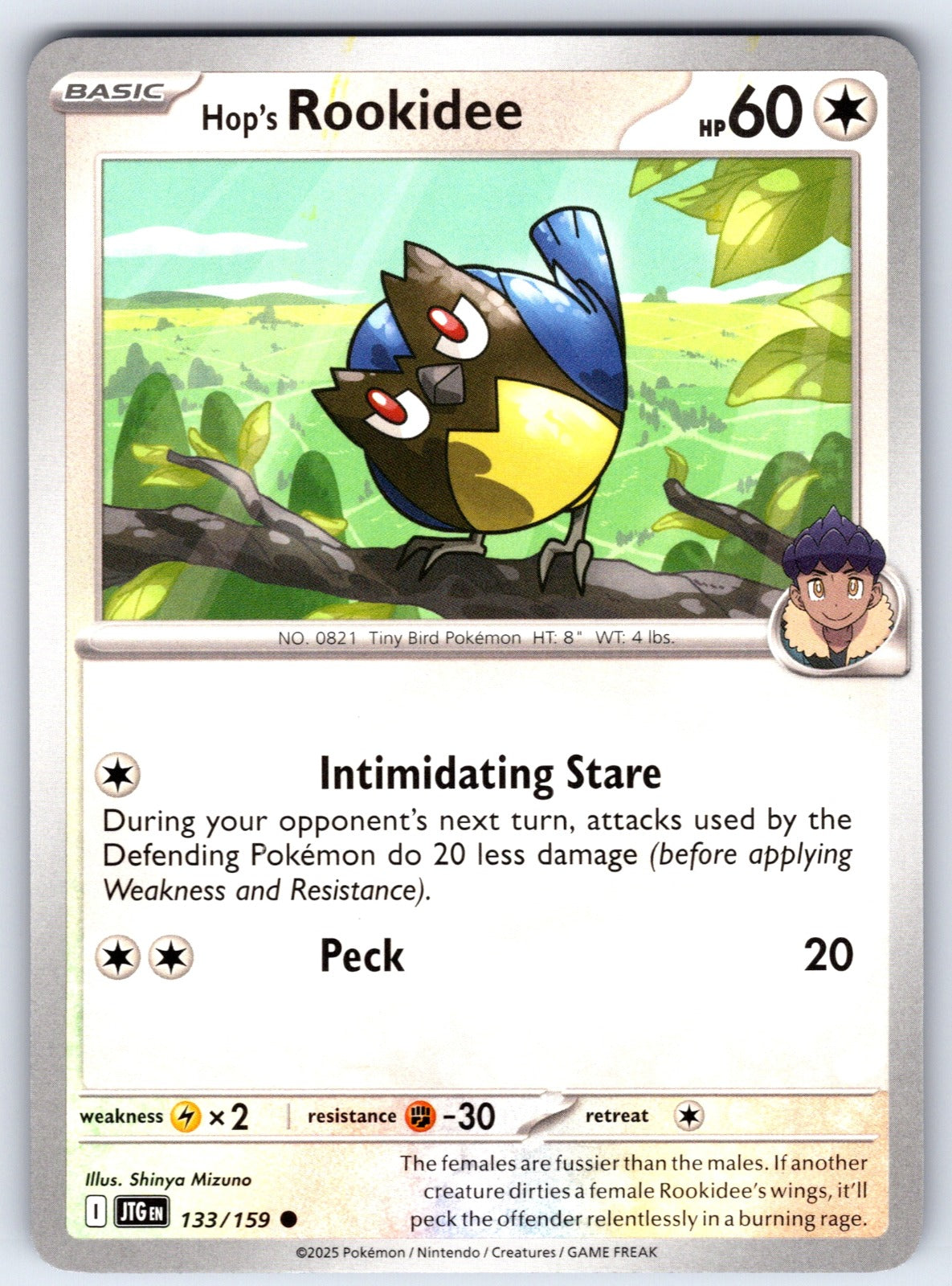 Hop's Rookidee Common SV09: Journey Together 133/159 LP 2025