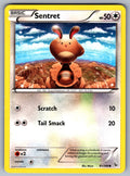 Sentret Common XY - Flashfire 81/106 LP 2014