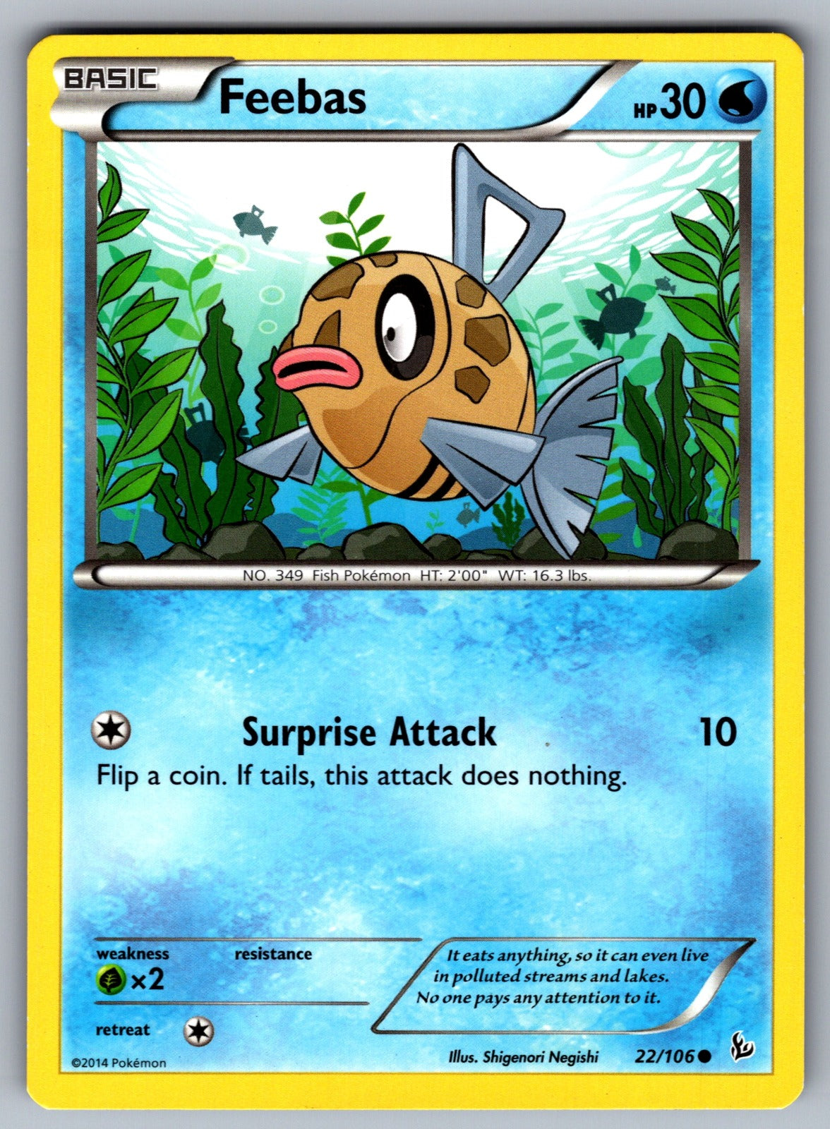 Feebas Common XY - Flashfire 22/106 LP 2014
