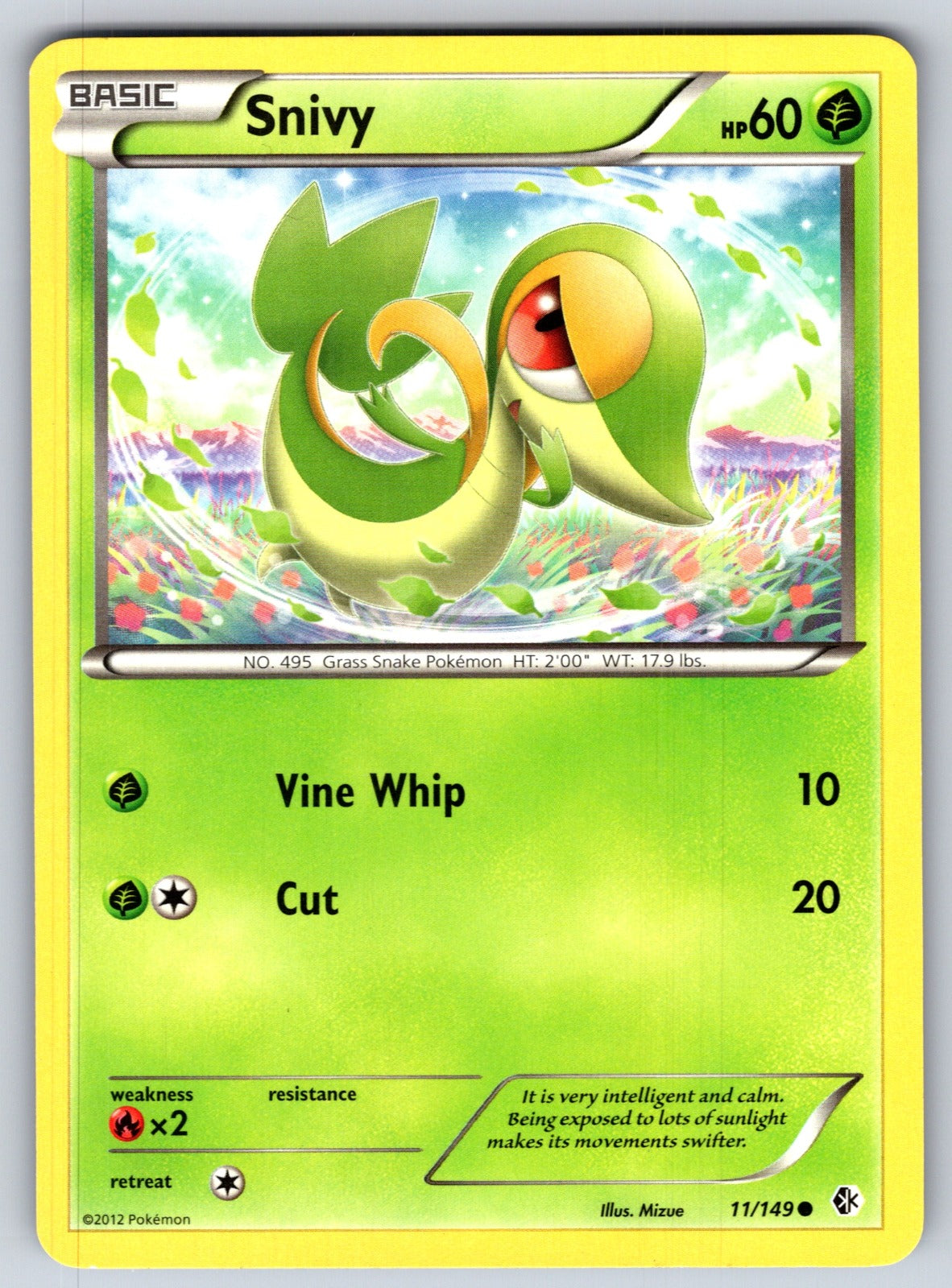 Snivy Common Boundaries Crossed 11/149 LP 2012