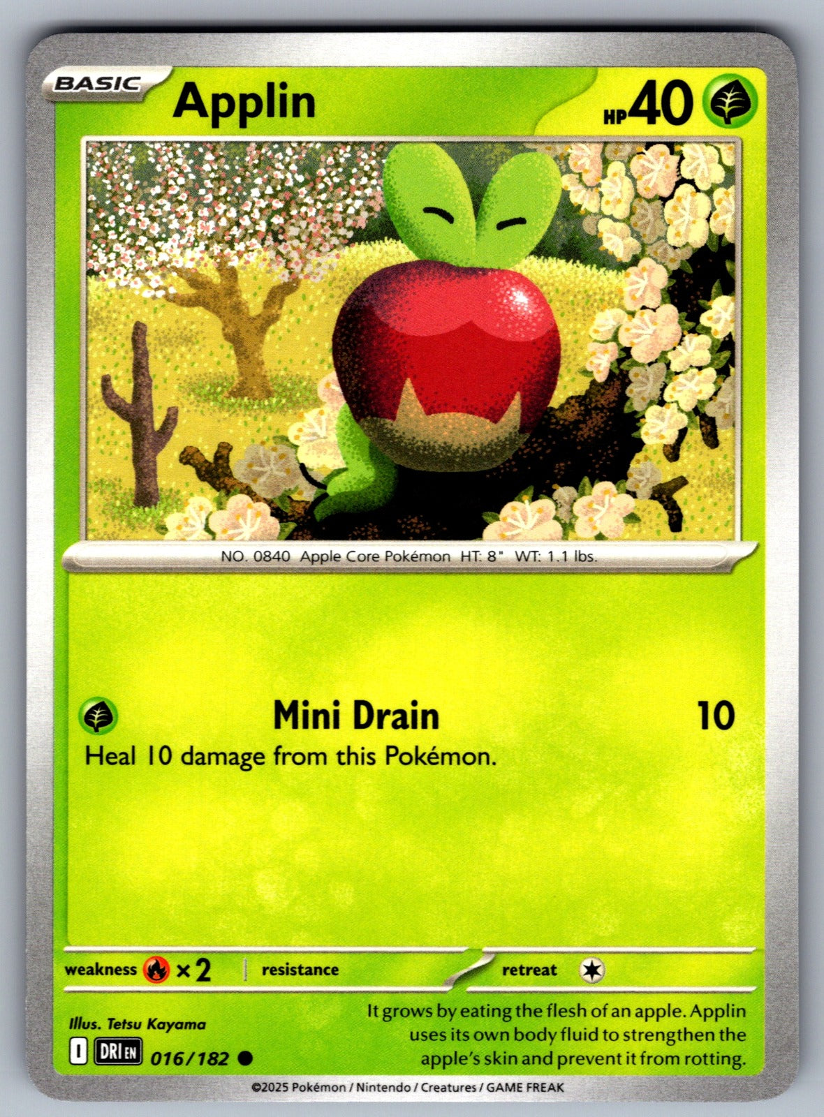 Applin Common SV10: Destined Rivals 016/182 NM 2025