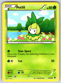 Petilil Common Emerging Powers 13/98 LP 2011