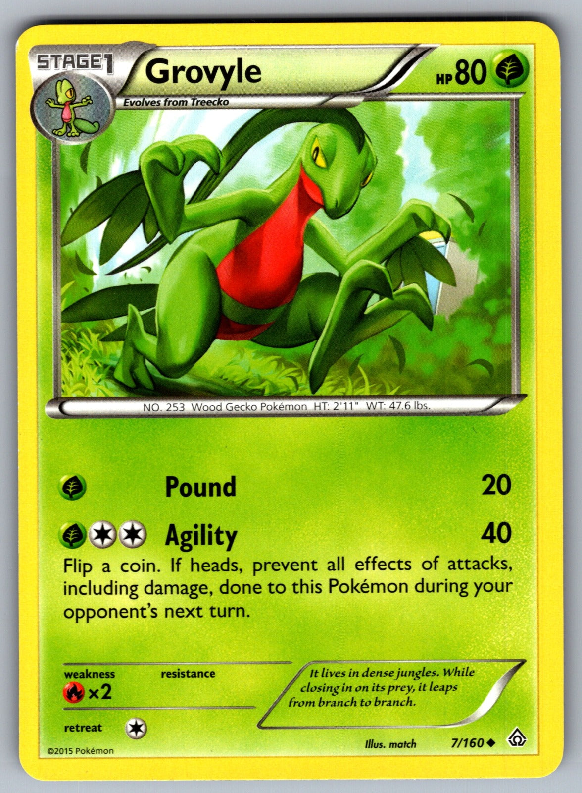 Grovyle Uncommon XY - Primal Clash 7/160 LP 2015