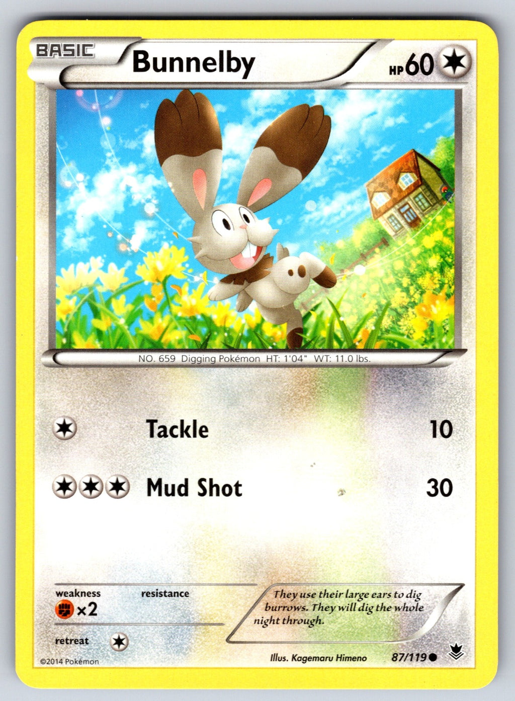 Bunnelby Common XY - Phantom Forces 87/119 LP 2014