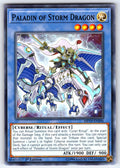 Paladin of Storm Dragon Unlimited Common 2019 Gold Sarcophagus Tin Mega Pack MP1