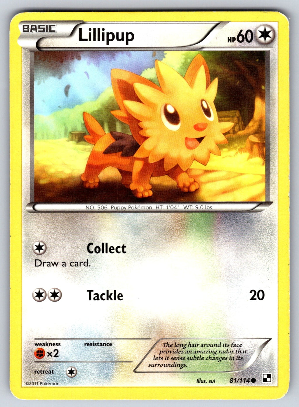 Lillipup (81) Common Black and White 81/114 LP 2011