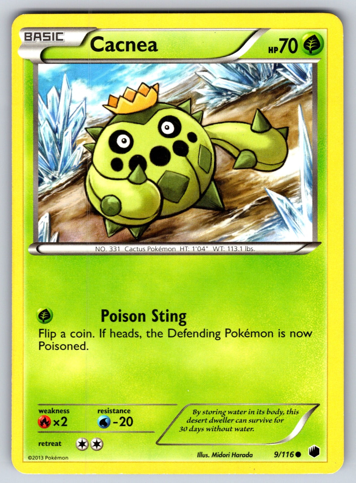 Cacnea Common Plasma Freeze 9/116 LP 2013