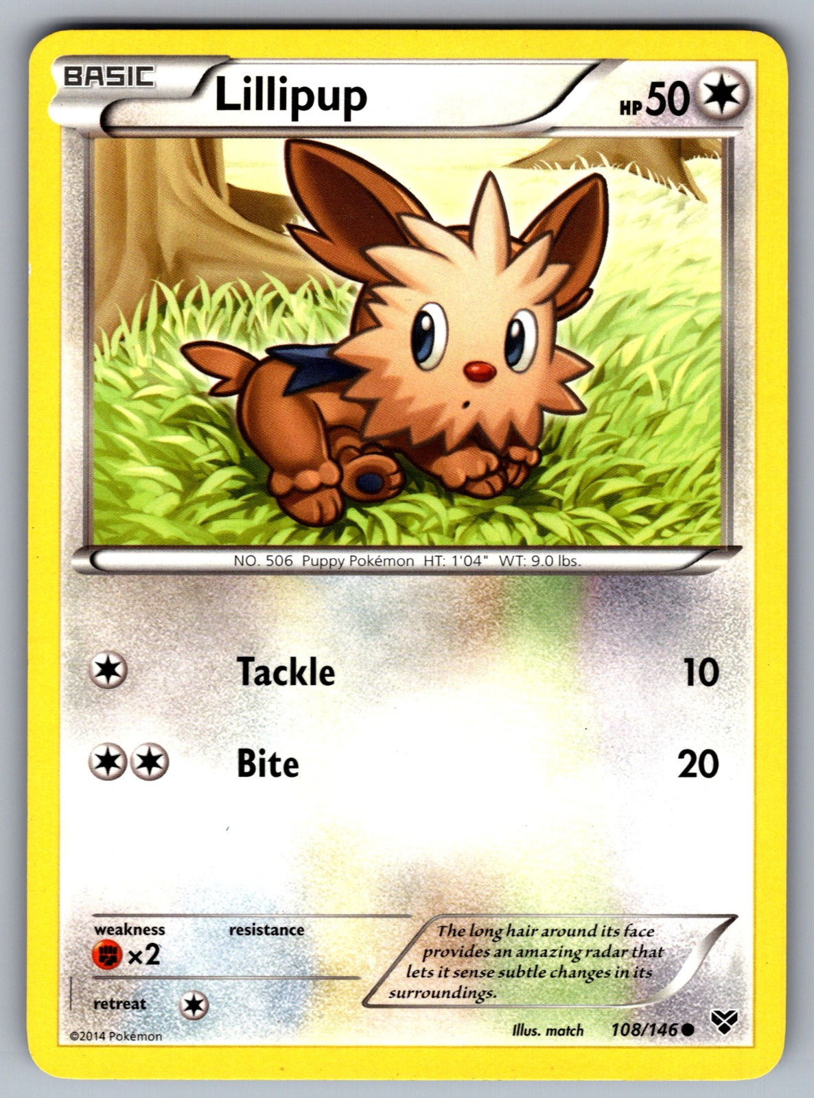 Lillipup Common XY Base Set 108/146 LP 2014