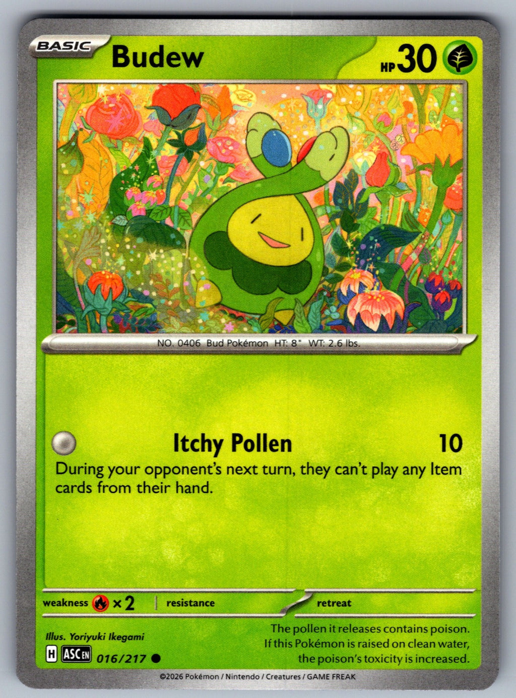 Budew Common ME: Ascended Heroes 016/217 NM 2026