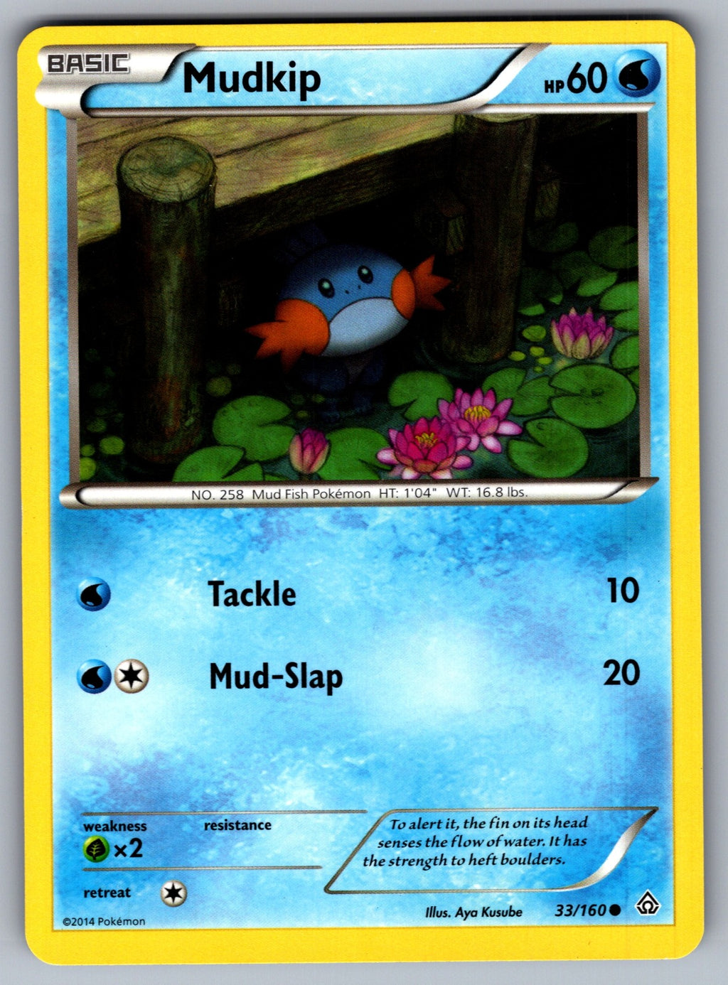 Mudkip Common XY - Primal Clash 33/160 LP 2015