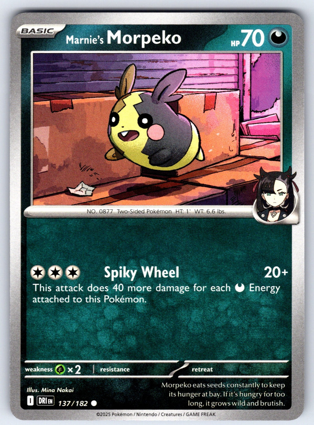 Marnie's Morpeko Common SV10: Destined Rivals 137/182 NM 2025