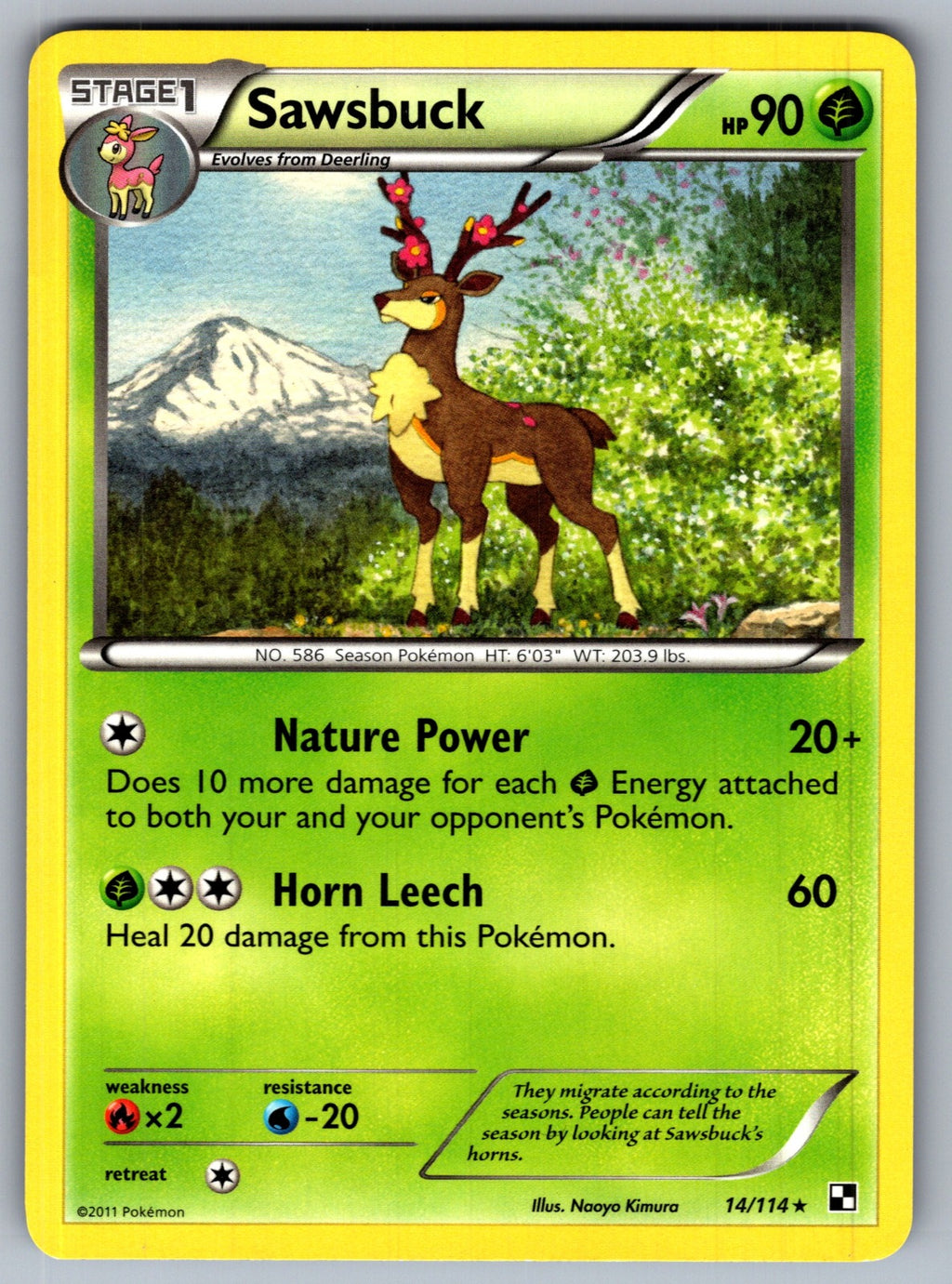 Sawsbuck Rare Black and White 14/114 LP 2011