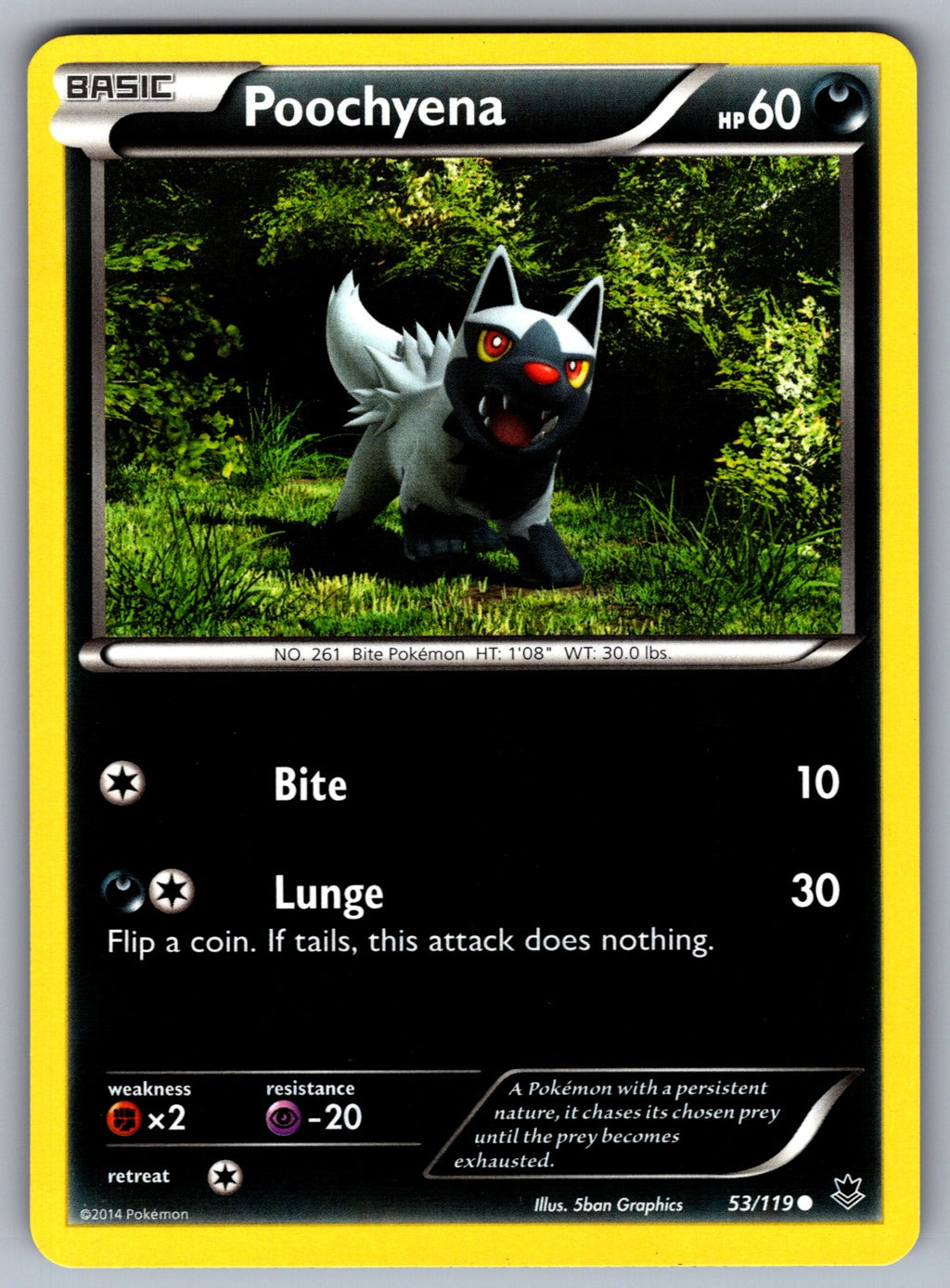 Poochyena Common XY - Phantom Forces 53/119 LP 2014