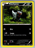 Poochyena Common XY - Phantom Forces 53/119 LP 2014