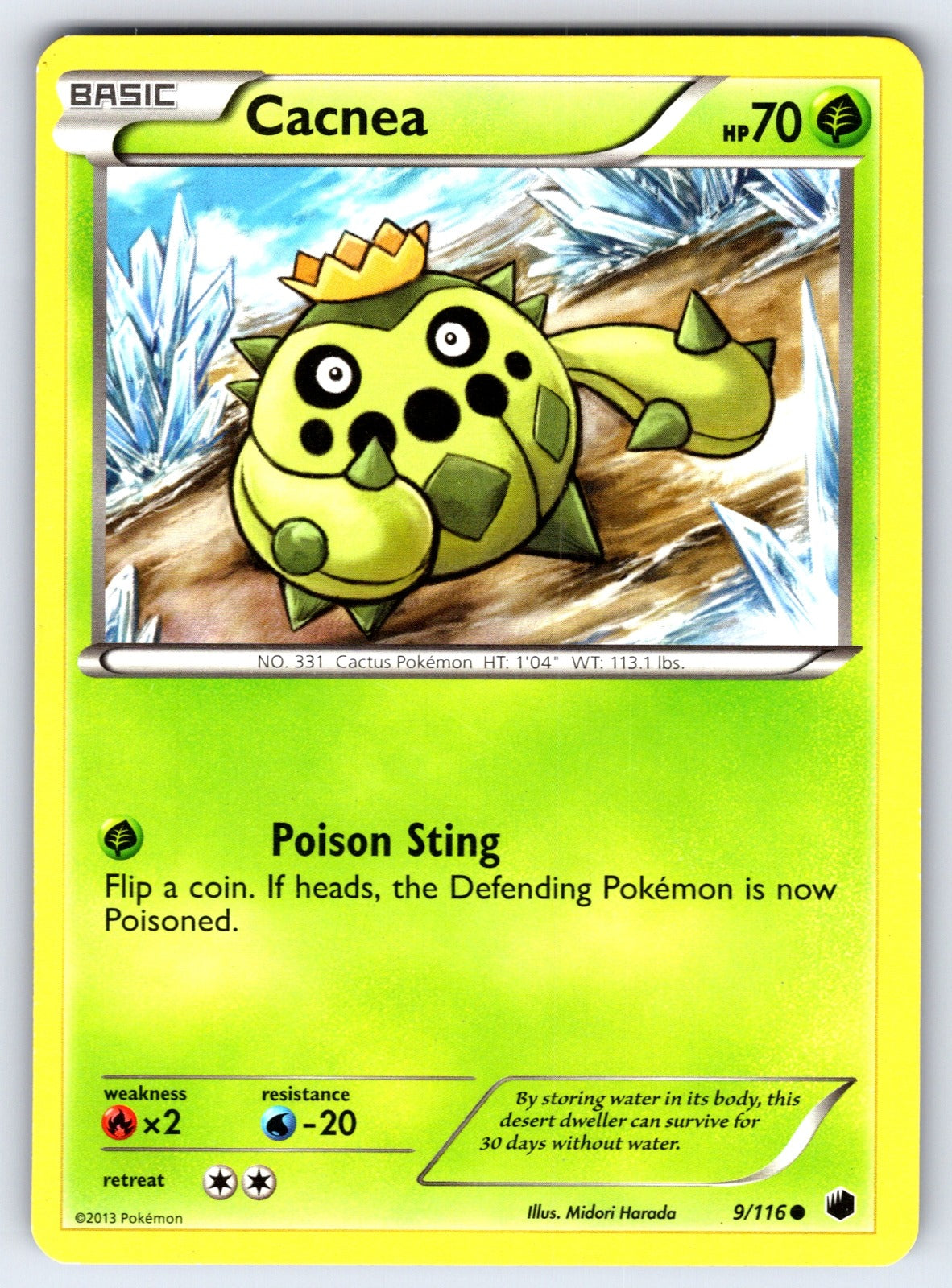 Cacnea Common Plasma Freeze 9/116 LP 2013