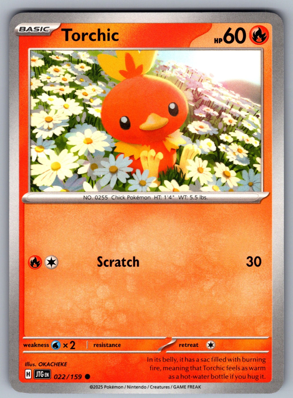 Torchic Common SV09: Journey Together 022/159 NM 2025
