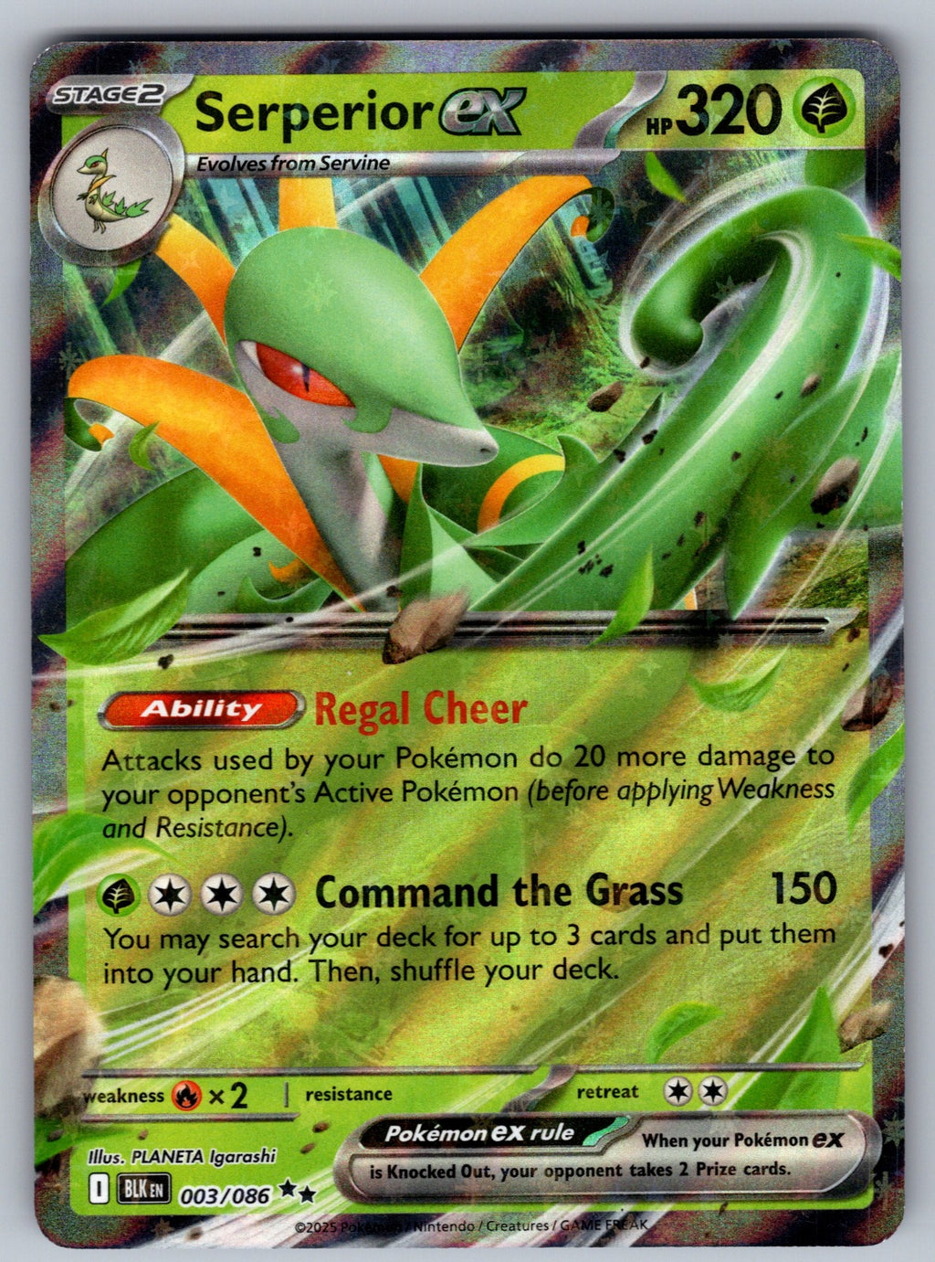 Serperior ex Holo Double Rare SV: Black Bolt 003/086 NM 2025