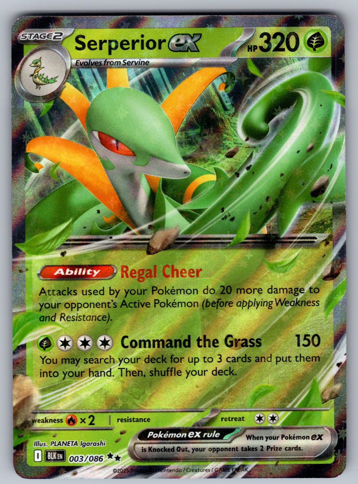 Serperior ex Holo Double Rare SV: Black Bolt 003/086 NM 2025