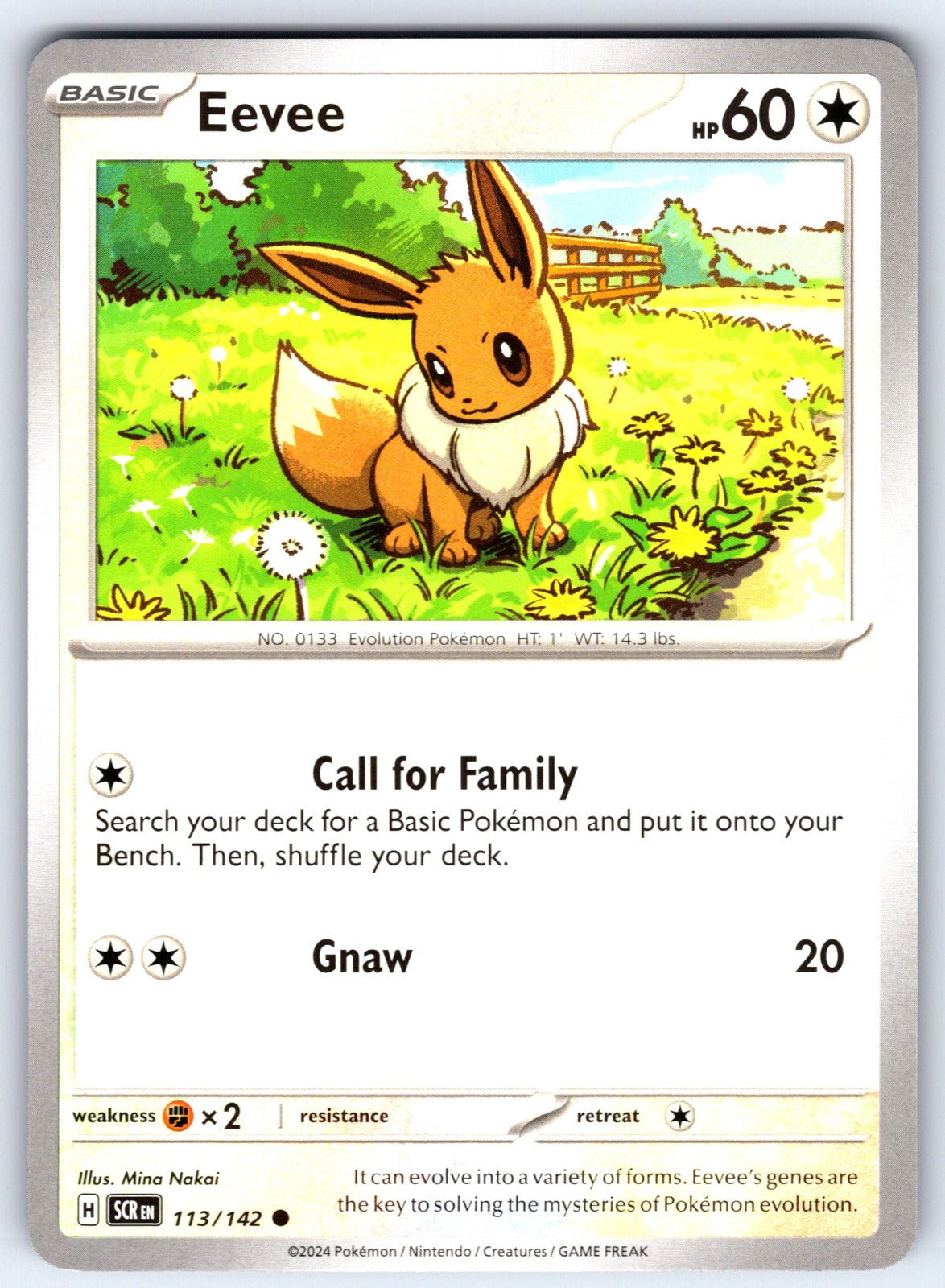 Eevee Common SV07: Stellar Crown 113/142 NM 2024