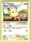 Lillipup Common Boundaries Crossed 120/149 LP 2012