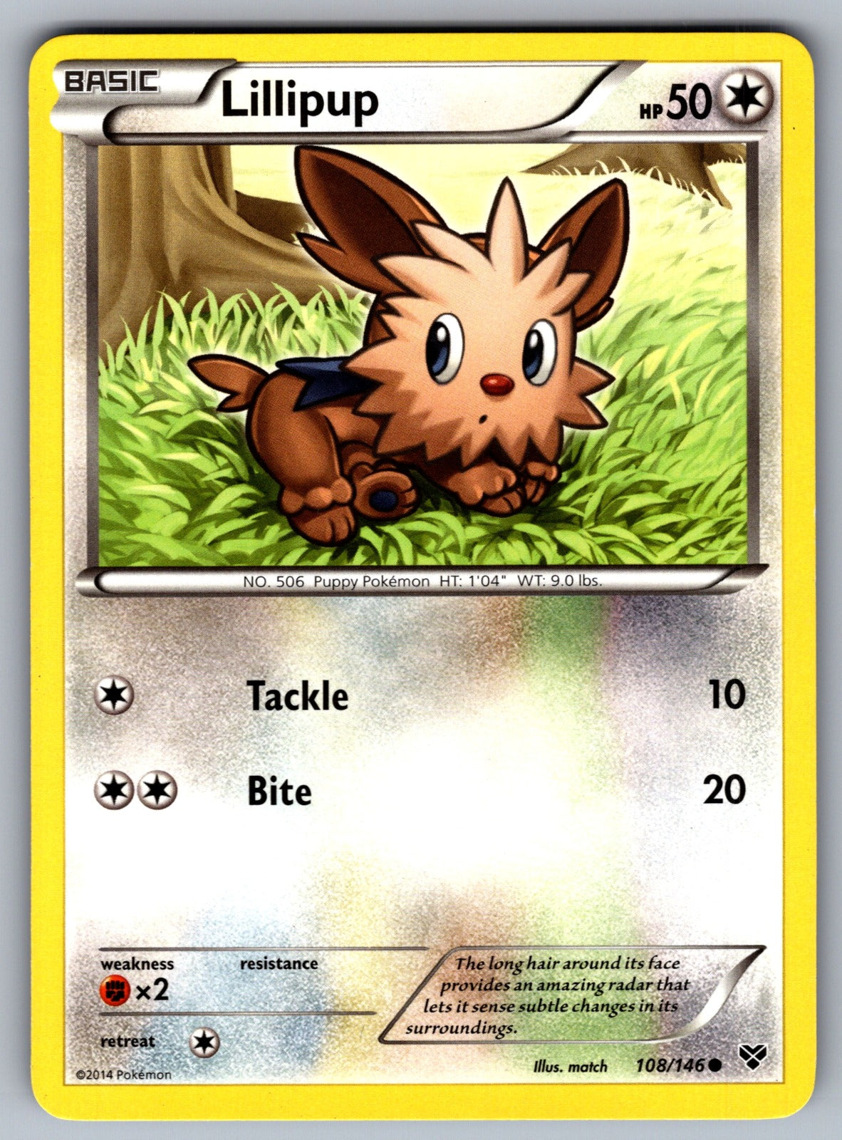 Lillipup Common XY Base Set 108/146 LP 2014