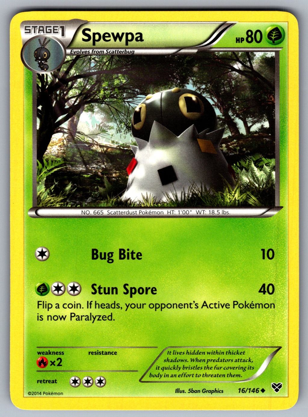 Spewpa Uncommon XY Base Set 16/146 LP 2014