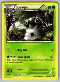Spewpa Uncommon XY Base Set 16/146 LP 2014