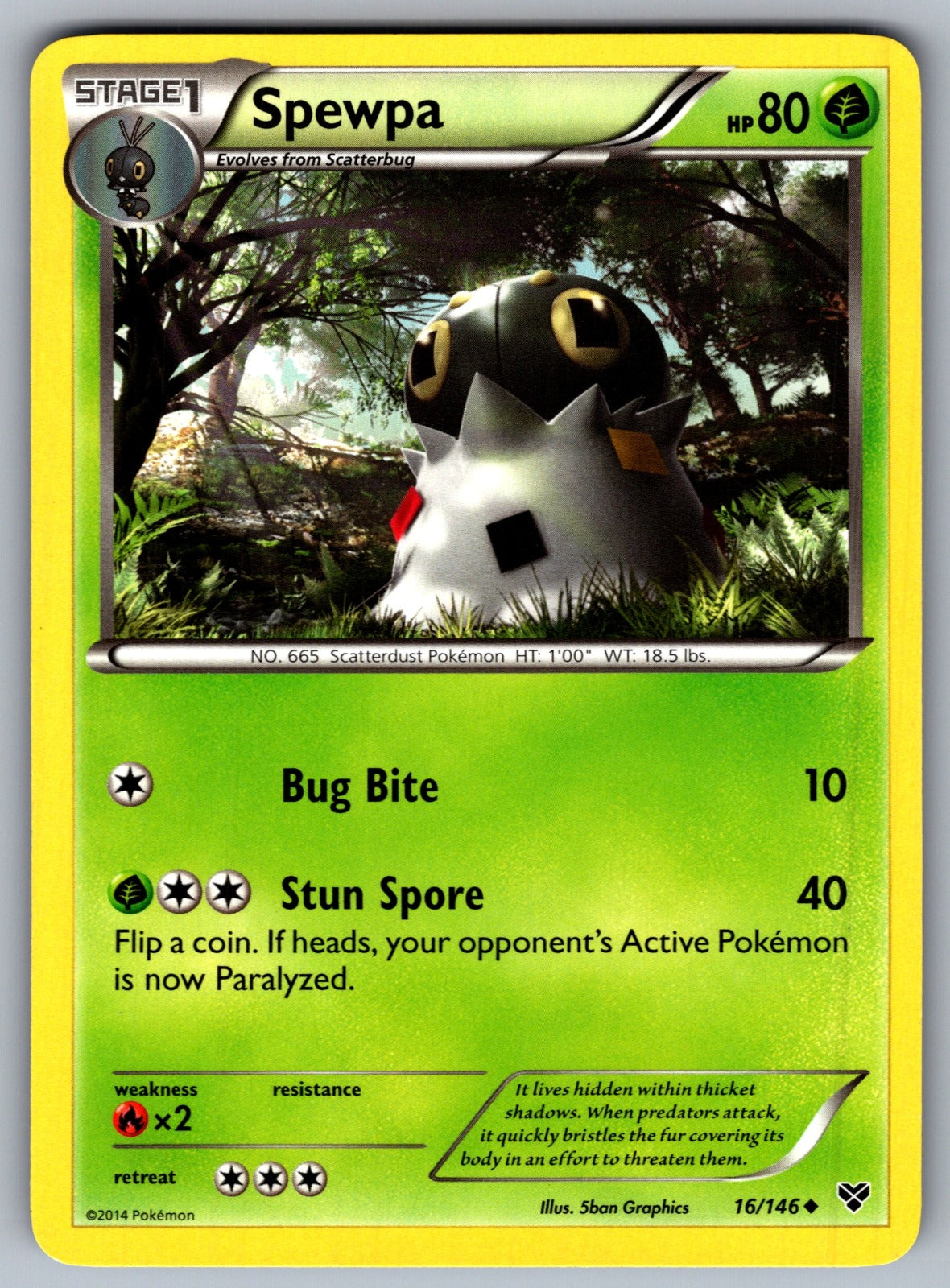 Spewpa Uncommon XY Base Set 16/146 LP 2014