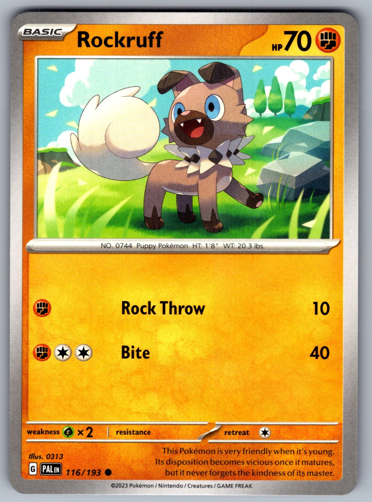 Rockruff Common SV02: Paldea Evolved 116/193 NM 2023