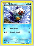 Oshawott Common Boundaries Crossed 39/149 LP 2012