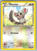 Minccino (87) Common XY - Fates Collide 87/124 LP 2016