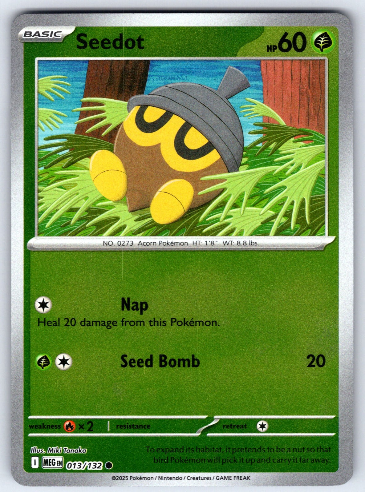 Seedot Reverse Holo Common ME01: Mega Evolution 013/132 NM 2025