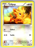 Lillipup (81) Common Black and White 81/114 LP 2011