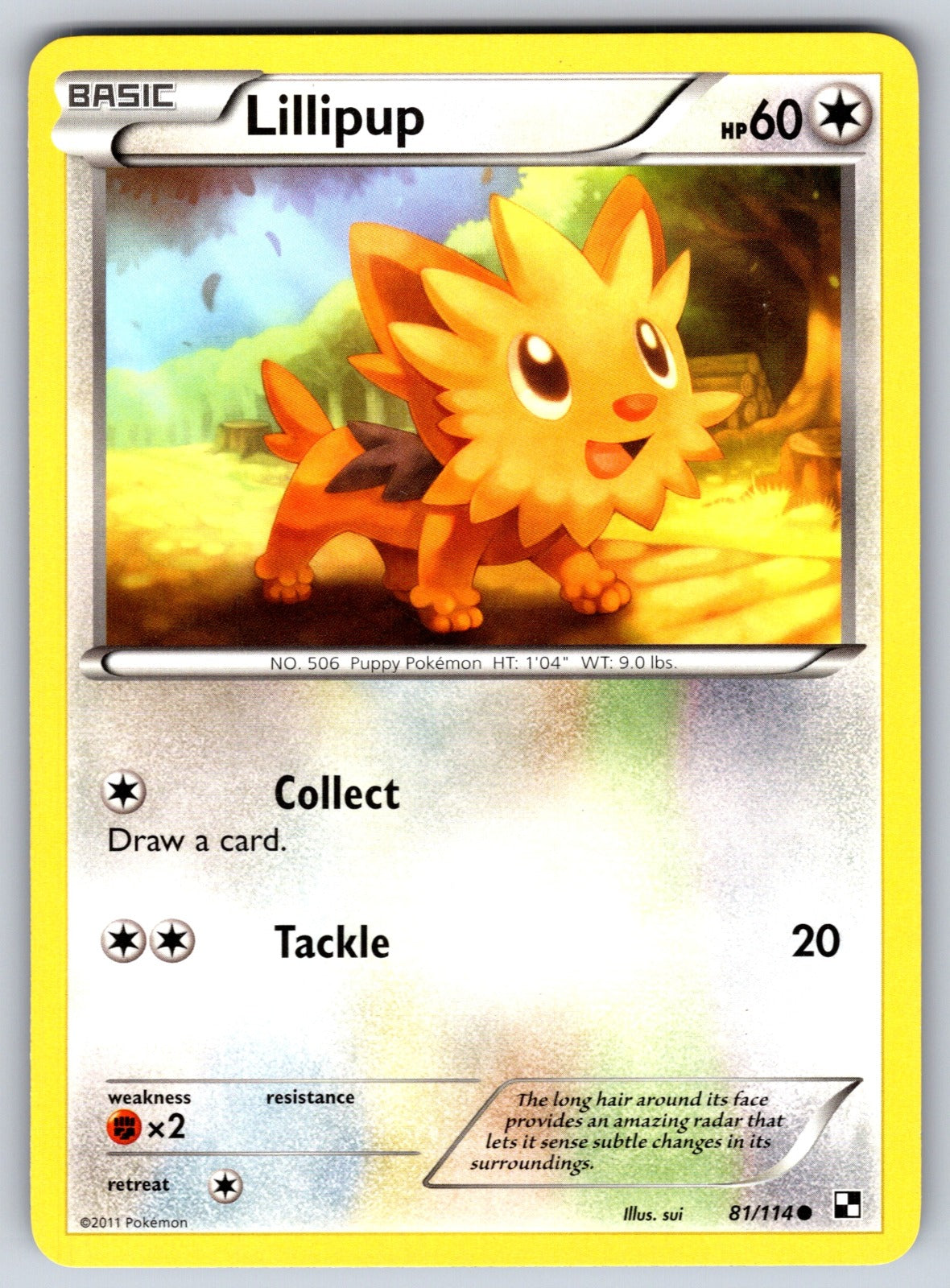 Lillipup (81) Common Black and White 81/114 LP 2011