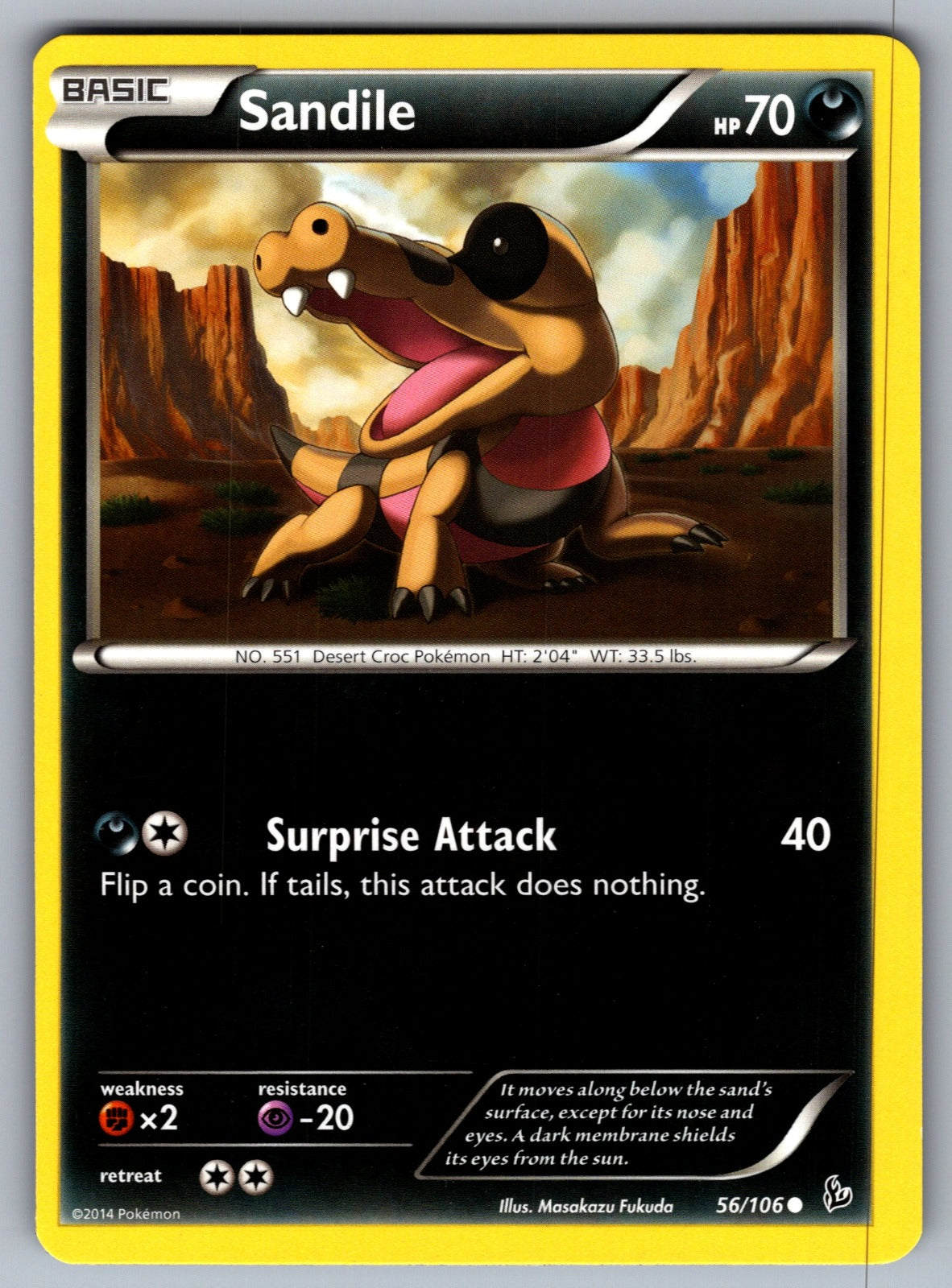 Sandile Common XY - Flashfire 56/106 LP 2014
