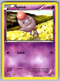 Spoink Common XY Base Set 49/146 LP 2014