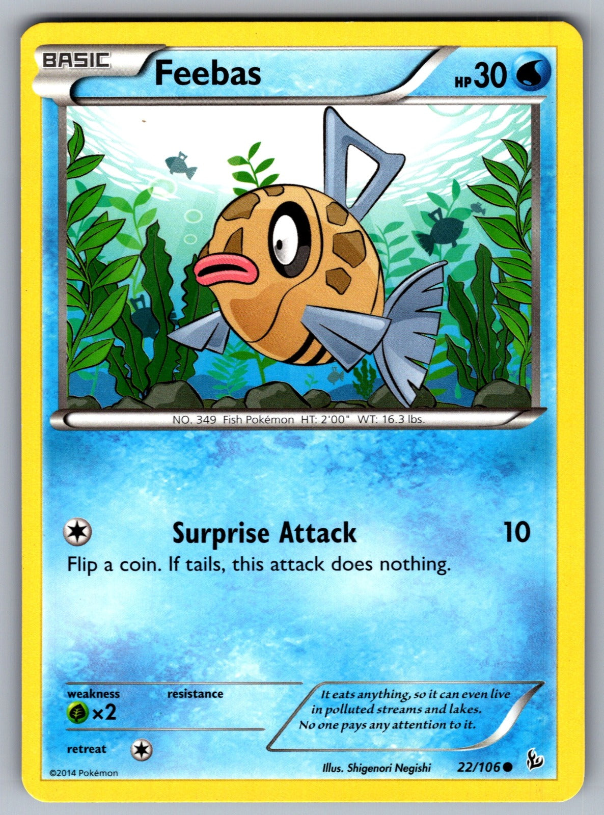 Feebas Common XY - Flashfire 22/106 LP 2014