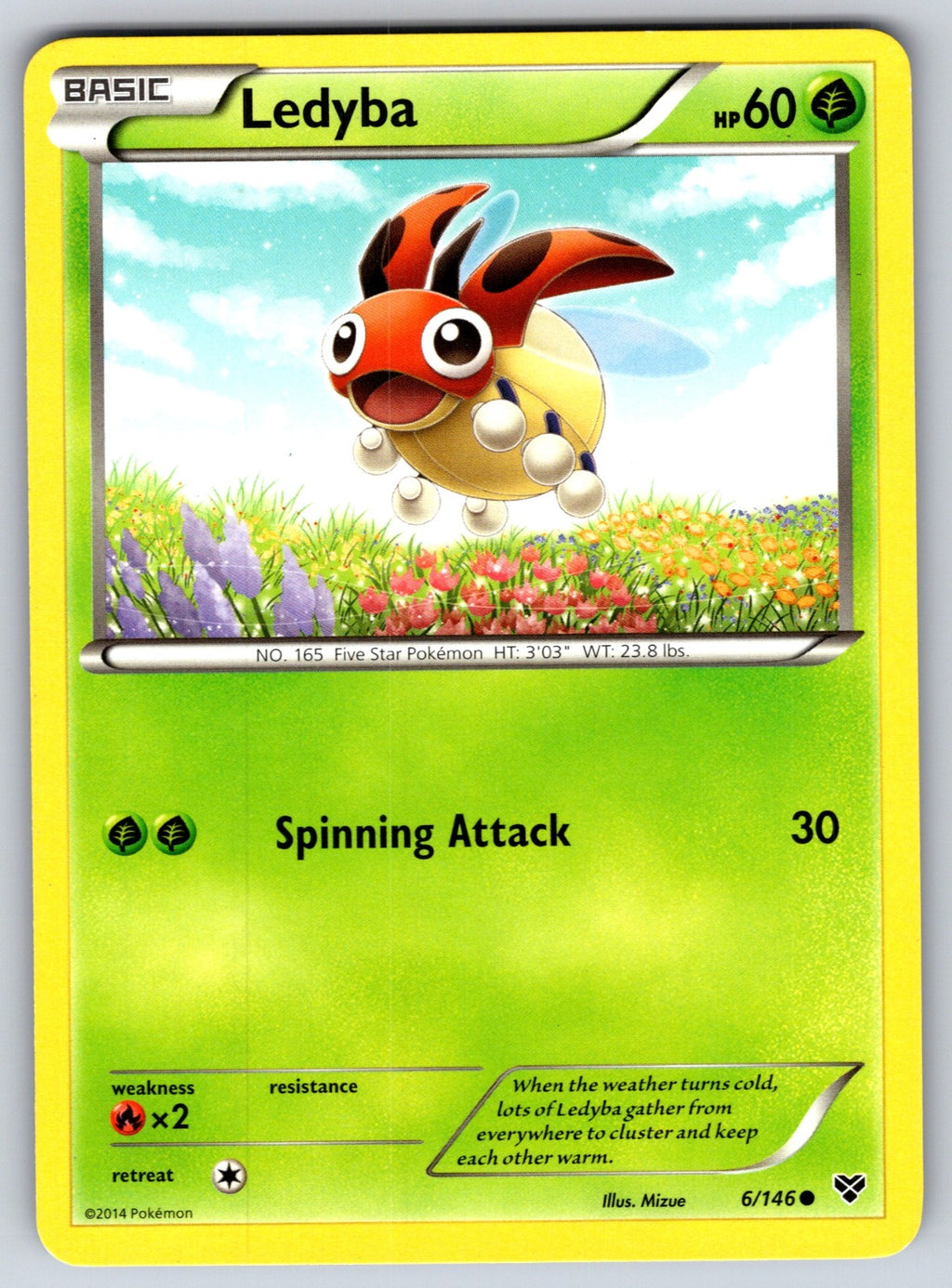 Ledyba Common XY Base Set 6/146 LP 2014