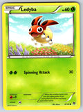 Ledyba Common XY Base Set 6/146 LP 2014