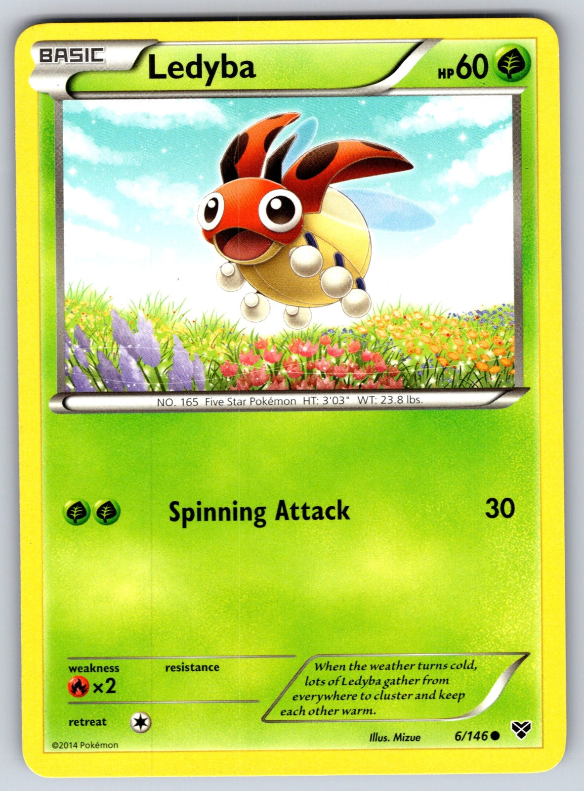 Ledyba Common XY Base Set 6/146 LP 2014