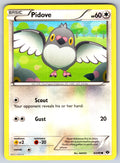Pidove Common Next Destinies 83/99 LP 2012